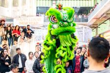 houston restaurants celebrating chinese new year