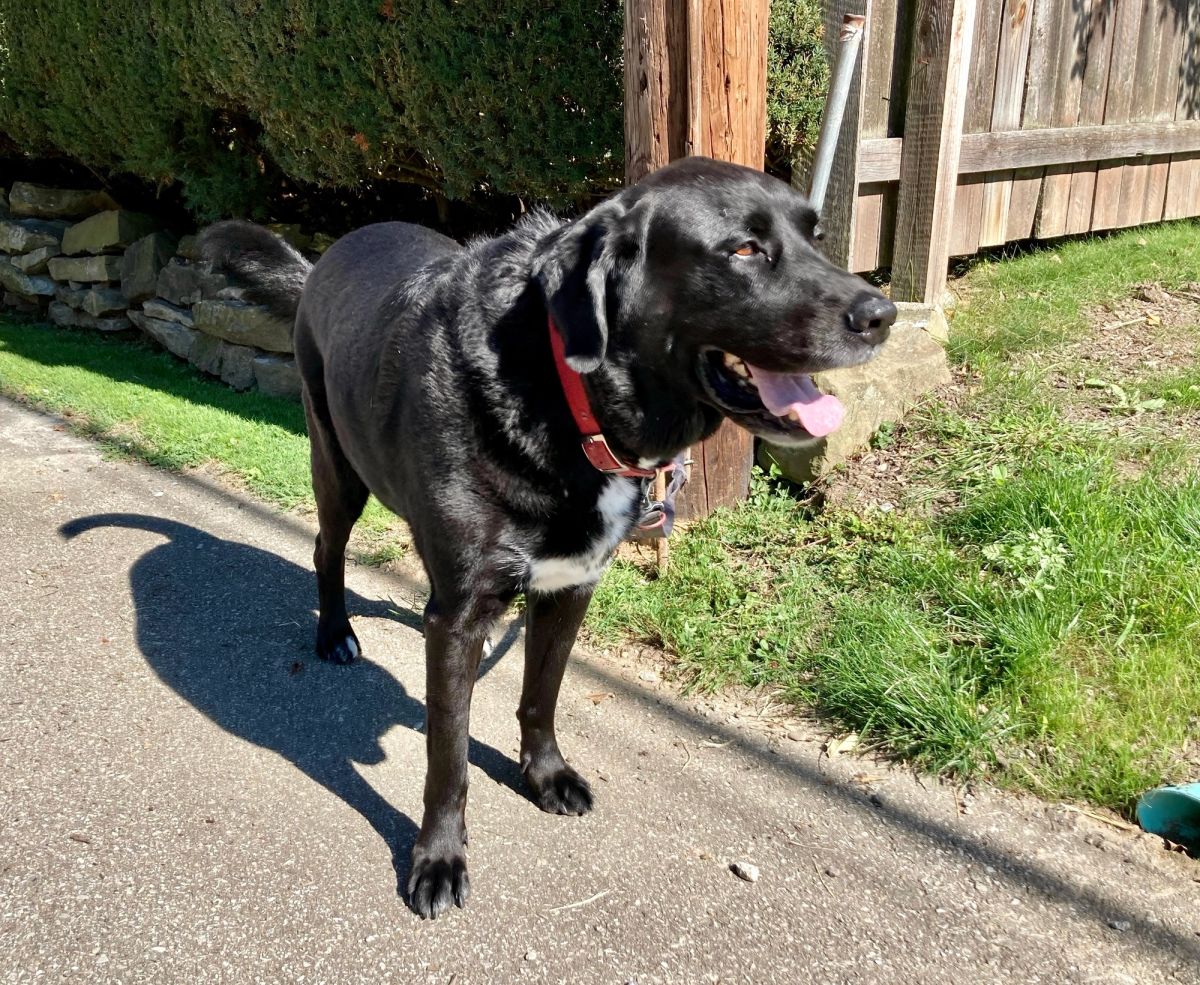 Weird Pittsburgh Pennsylvania Laws Still on the Books City Cast