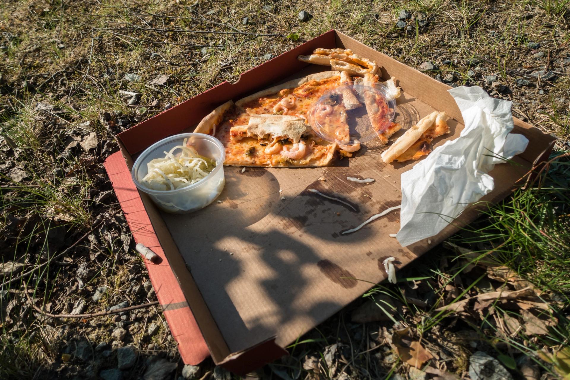 A pizza boxes with pieces of pizza in it on the lawn.