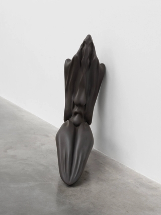 Marguerite Humeau, Venus of Courbet, A 80-year-old female human has ingested the brain of a swallow, 2018.