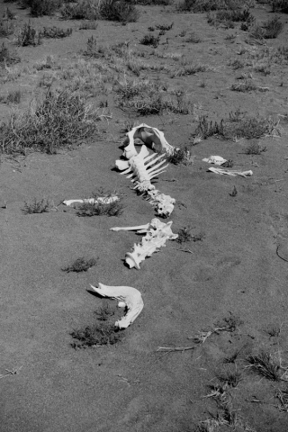 Marguerite Humeau, Orisons, 2023.