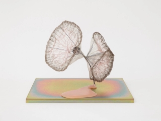 Marguerite Humeau, release of gravity, 2024.
