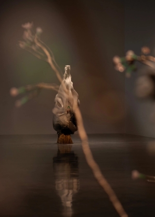 Marguerite Humeau, meys, 2023. White Cube (Julia Andréone
