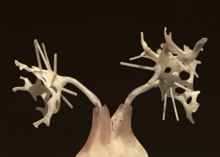 Marguerite Humeau, Venus of Planina, A 37-year-old human female has ingested an Olm's brain, 2024.
