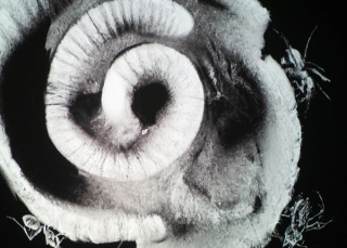 Marguerite Humeau, meys, 2023. White Cube (Julia Andréone