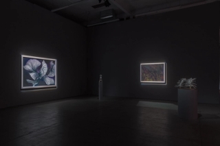 Marguerite Humeau, Energy Flows, 2022. JSP Art Photography.