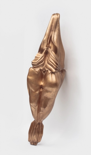 Marguerite Humeau, Superior Oneness, A 70-year-old female human has ingested an alligator's brain, 2018.