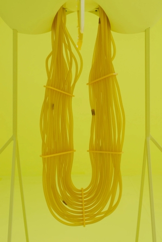 Marguerite Humeau, Taweret, 2015.
