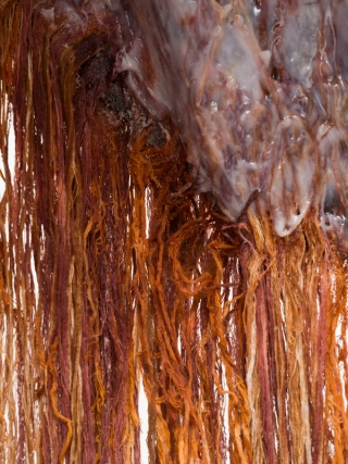 Marguerite Humeau, Skaya (The Conference in the Air IV-IV “Rusted Cells”), 2024.