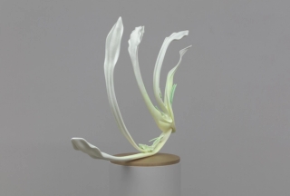 Marguerite Humeau, Eleusis, The desire to care less about things, to loosen your grip on your life, to hold your life playfully like a volleyball. Inspired by the plant Fumaria that bears the signature of blood vessels and supports blood activation., 2022.