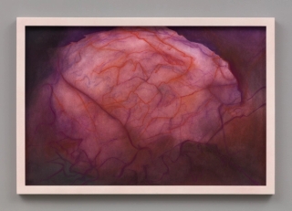 Marguerite Humeau, Fungi Decomposing a Leaf, 2022.