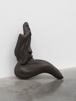 Marguerite Humeau, Venus of Courbet, A 80-year-old female human has ingested the brain of a swallow, 2018.