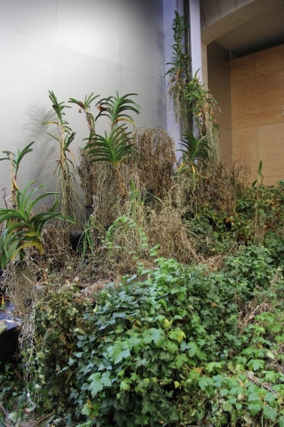 Marguerite Humeau, Surface Horizon, 2021. Alexia Vénot.