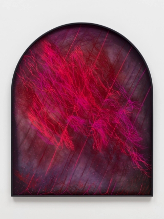 Marguerite Humeau, Noctilumen: the radiance of thin roots lit by microbial films, fragile strands glowing in absolute dark, a refusal to disappear, a brightness that exists only because darkness sharpens it., 2025.