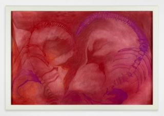Marguerite Humeau, The Garden of Resuscitation (Black Mulleins), 2021.