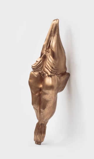 Marguerite Humeau, Superior Oneness, A 70-year-old female human has ingested an alligator's brain, 2018.