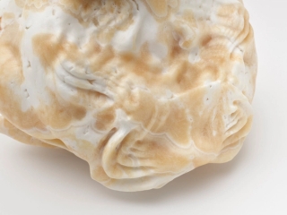 Marguerite Humeau, Hexarthra, 2025.