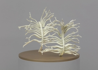 Marguerite Humeau, Dilata (II) The frustration to be stuck into one body, Dilata grows all the lives that you could have had. Inspired by the plant Mimosa Hostilis that triggers hallucinations and schizophrenia., 2022.