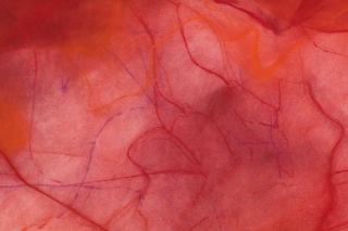 Marguerite Humeau, Bacteria Eating the Dead Cadaver of a Bird, 2022.