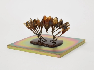 Marguerite Humeau, dead skins, 2024.