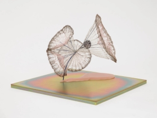 Marguerite Humeau, release of gravity, 2024.