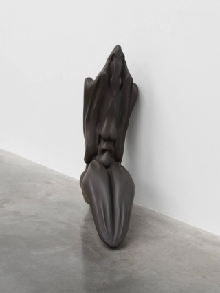 Marguerite Humeau, Venus of Courbet, A 80-year-old female human has ingested the brain of a swallow, 2018.