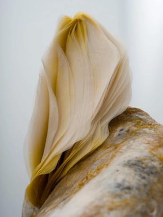 Marguerite Humeau, Skera (The Conference in the Air IV-III “Golden Light”, 2024.