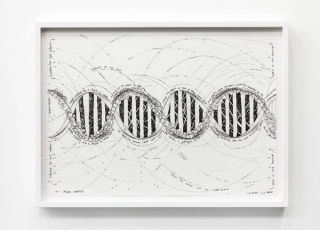 Marguerite Humeau, The Whirl, DNA (Trance Stage 1), 2019.