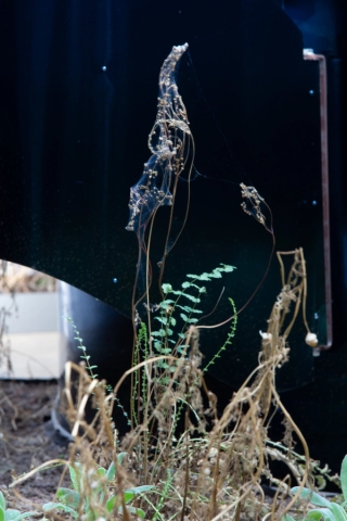Marguerite Humeau, Surface Horizon, 2021. Alexia Vénot.