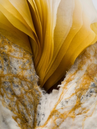 Marguerite Humeau, Skera (The Conference in the Air IV-III “Golden Light”, 2024.