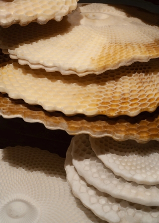 Marguerite Humeau, meys, 2023. White Cube (Julia Andréone