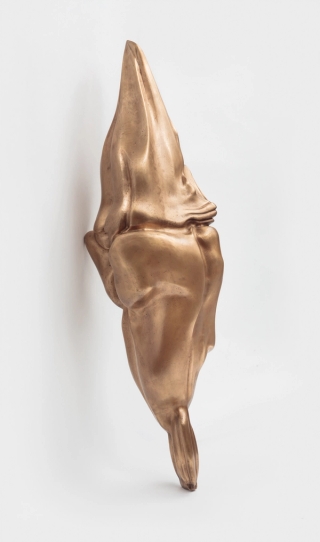 Marguerite Humeau, Superior Oneness, A 70-year-old female human has ingested an alligator's brain, 2018.