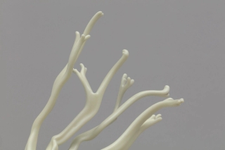 Marguerite Humeau, Dilata (II) The frustration to be stuck into one body, Dilata grows all the lives that you could have had. Inspired by the plant Mimosa Hostilis that triggers hallucinations and schizophrenia., 2022.