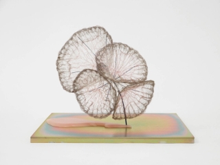 Marguerite Humeau, release of gravity, 2024.