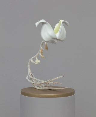 Marguerite Humeau, Coeur de Marie, A relationship that you can’t get out of your head, that is still somehow alive, unfinished. It has become a mythical place, an abandoned campsite in your mental landscape. Inspired by the Bleeding Heart, the plant extract traditionally given to the brokenhearted and the codependent, as it is made of two fused flowers, each being half of a heart., 2022.