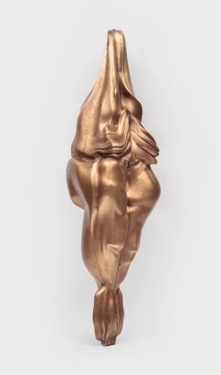 Marguerite Humeau, Superior Oneness, A 70-year-old female human has ingested an alligator's brain, 2018.