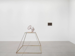 Marguerite Humeau, Dust, 2024. Photo © White Cube (Jeon Byung Cheol).