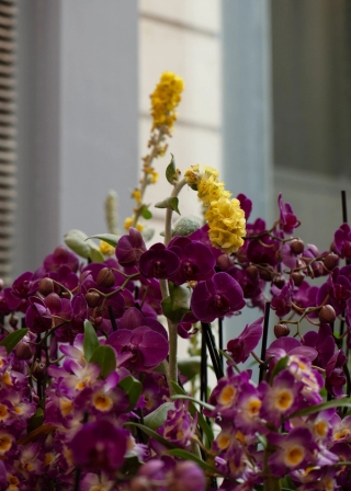 Marguerite Humeau, Levitation, 2021.