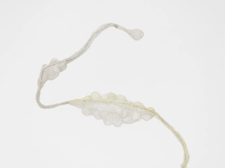 Marguerite Humeau, extraction pipes, 2024.