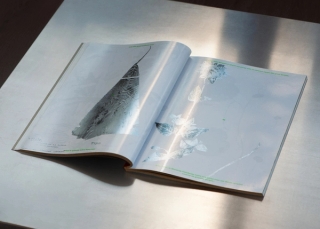 Marguerite Humeau, Surface Horizon, 2021.