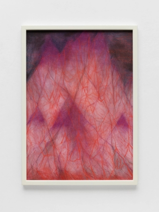 Marguerite Humeau, Underground branching passages, soil inhalations, soil exhalations, 2022.