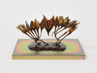 Marguerite Humeau, dead skins, 2024.