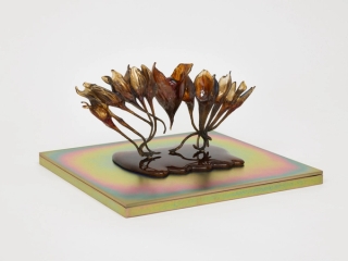 Marguerite Humeau, dead skins, 2024.