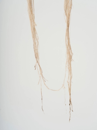 Marguerite Humeau, Skaza (The Conference in the Air III), 2024.