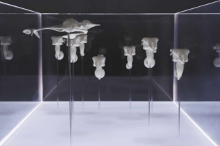 Marguerite Humeau, The Dead, The Dancers, and The Air, A shoal of fish performing a breathing ritual in an attempt to bring their dead back to life, 2022.