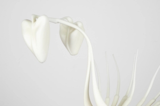 Marguerite Humeau, Proia, 2021.