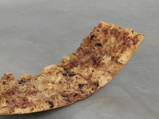 Marguerite Humeau, Fallen Leaf V, 2023.