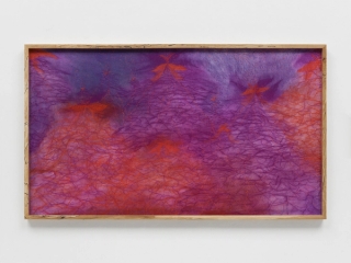 Marguerite Humeau, Where The Holder of Wasp Venom was born (study for meys), 2023.