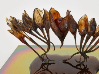 Marguerite Humeau, dead skins, 2024.