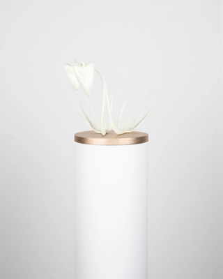 Marguerite Humeau, Proia, 2021.